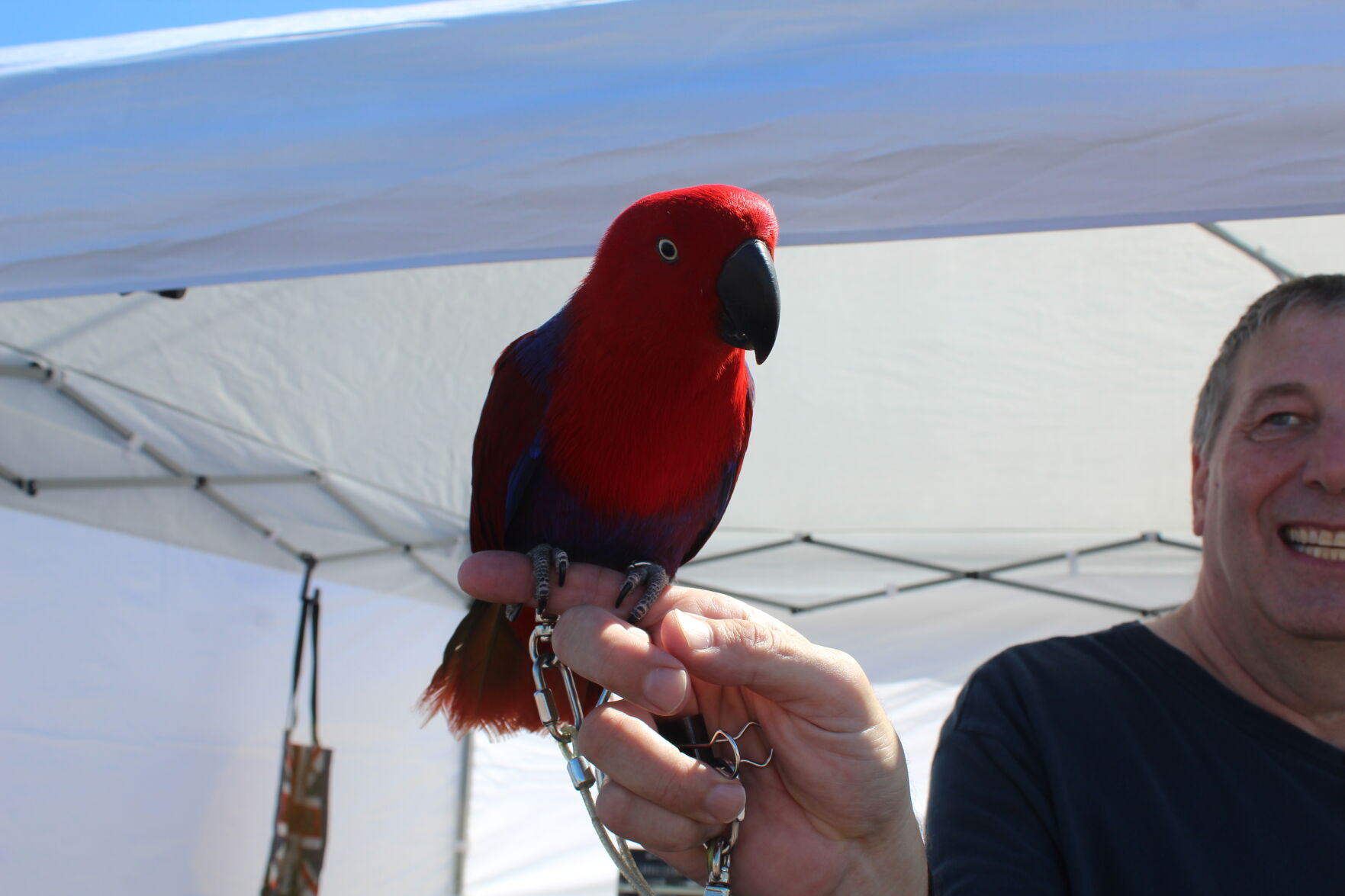Margate Fall Funfest By The Bay_6056.JPG